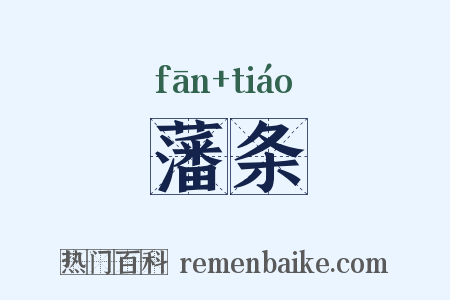 藩条是什么意思的图片